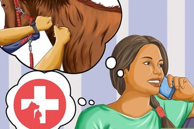 How to Vaccinate Horses