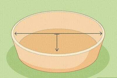 How to Prevent Houseplants From Damaging the Carpet