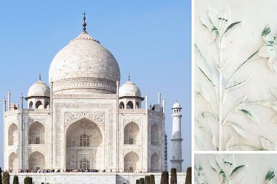 Nah Taj! Insect Poop Turns One of World’s Seven Wonders Green; Winter Instance Worries Experts