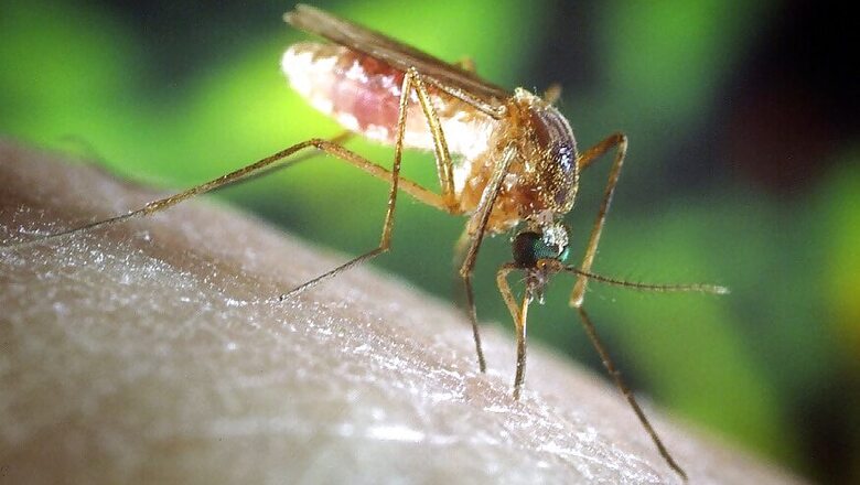 Tamil Nadu Reports 3,400 Dengue Cases So Far, Numbers Likely to Rise with Onset of Northeast Monsoon