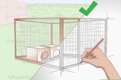 How to Raise Cornish Game Hens (Birds)