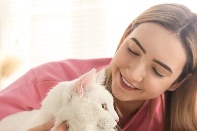 International Cat Day 2021: 5 Signs That Show You are a Cat Person