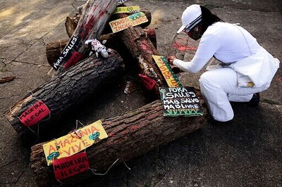 Brazil's Environment Minister Resigns Amid Criticism, Probes