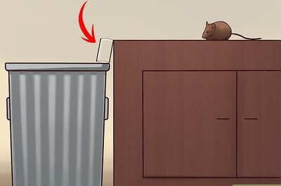 How to Catch a Mouse Without Killing It