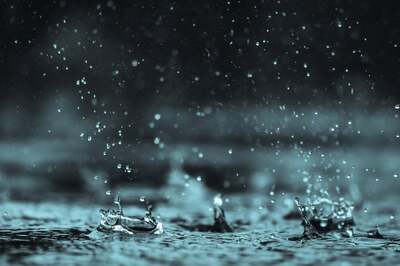 Monsoon Advances in Gangetic Bengal, Neighbouring States, Heavy Rain Likely in Next 2 Days