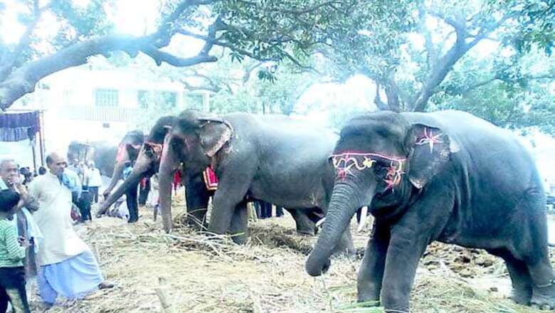 Asia's biggest cattle fair 'Sonepur mela' starts