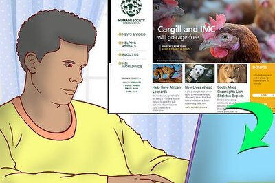 How to Choose an Online Dog Training Course