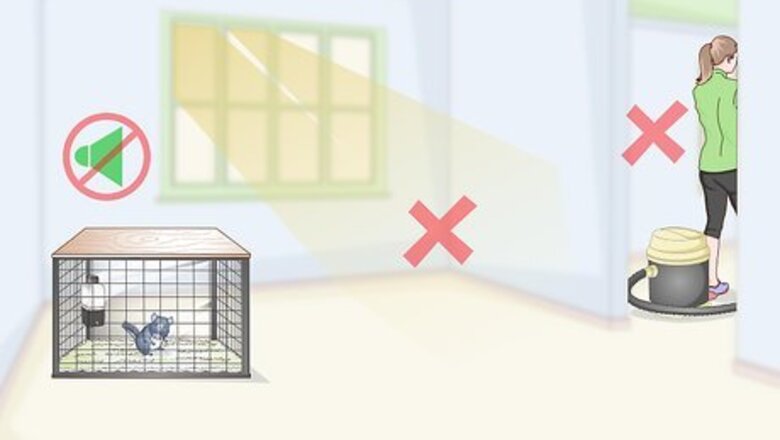 How to Help Your Chinchilla Adjust to its New Home