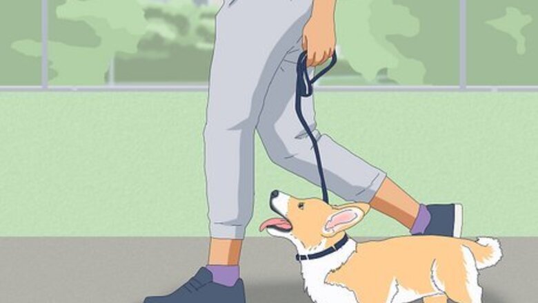 How to Get a Dog to Behave in Restaurants