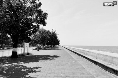 World Photography Day 2020: Covid-19 Gave Me The Strangest Photowalk I've Ever Done