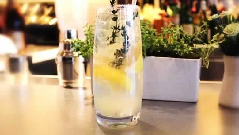What are Bitters and What Health Benefits They Have