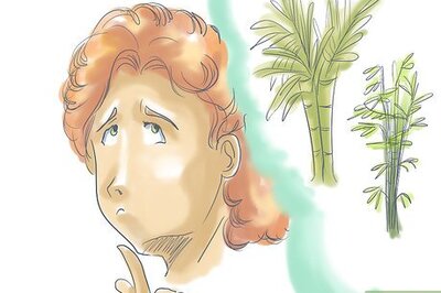 How to Cultivate Bamboo