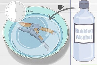 How to Prune Orchids