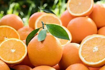 Winter Fruits To Eat During Pregnancy