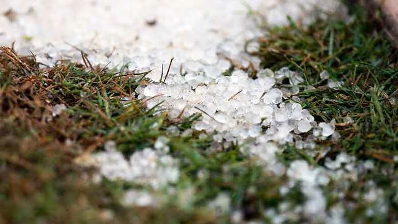 Three Dead, Crops Damaged as Hailstorm Hits Parts of Maharashtra