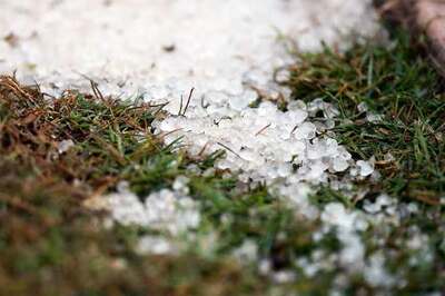 Three Dead, Crops Damaged as Hailstorm Hits Parts of Maharashtra
