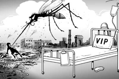 Chikungunya, Dengue Outbreak May Hit Tourism: Assocham