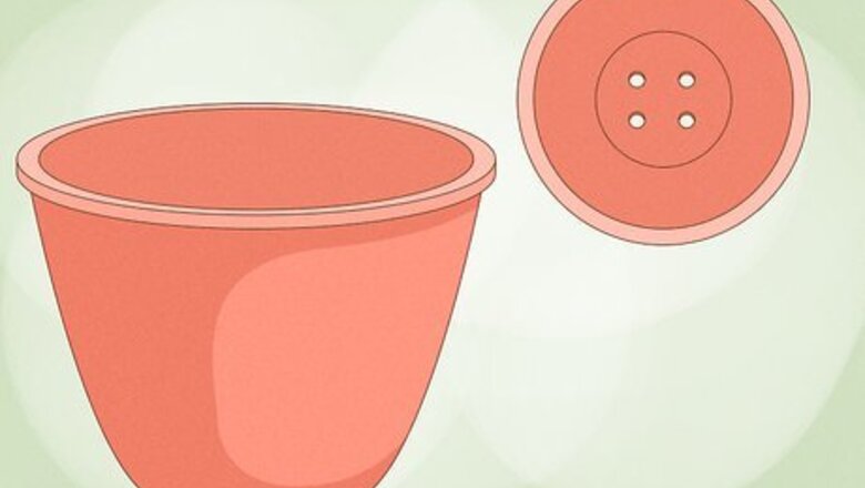 How to Grow Geraniums in Pots