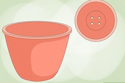 How to Grow Geraniums in Pots
