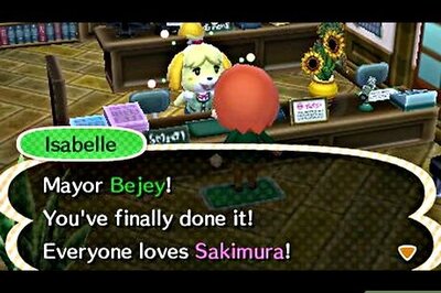 How to Have a Perfect Island or Town in Animal Crossing