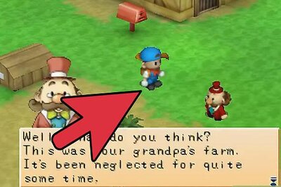 How to Succeed in Harvest Moon Back to Nature