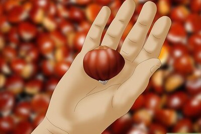 How to Eat a Raw Chestnut