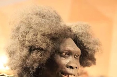 From Primates To Dominance, Tracking The Evolution Of Humankind