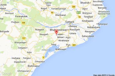 Odisha: Man kills mother for not serving lunch on time