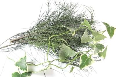 How to Make an Evergreen Wreath