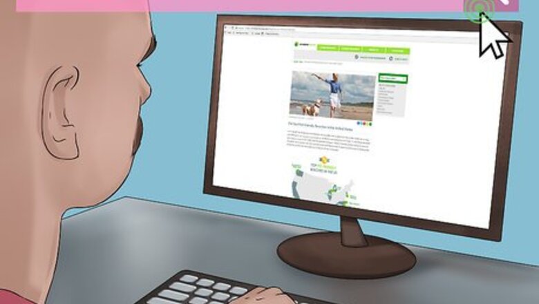 How to Take Pets on Beach Vacations