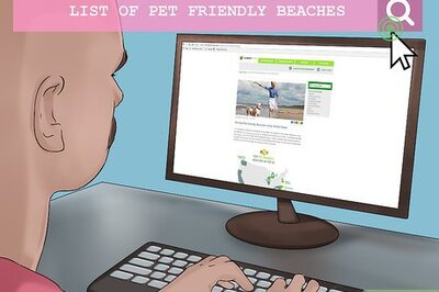 How to Take Pets on Beach Vacations