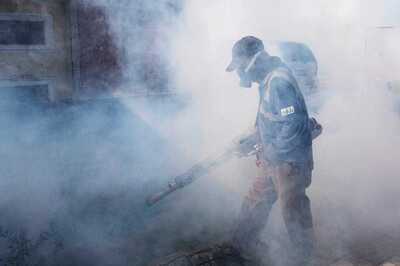 70% Citizens Blame Local Bodies for Mosquito Menace: Survey