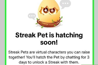 What Is a Streak Pet on TikTok and How Do You Get One?