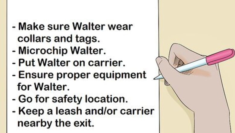 How to Include Your Cat in a Disaster Preparedness Plan