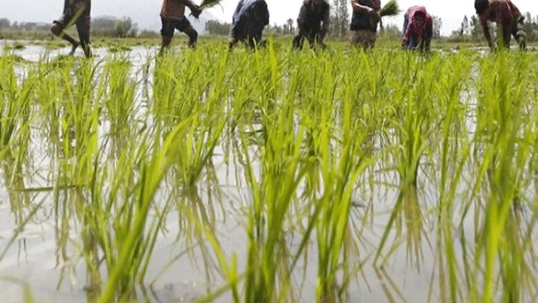 BJP, Congress Spar Over Foreign Trip for 'Farmers' in Madhya Pradesh