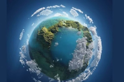 Unlocking The Cosmic Rarity: Earth's Precious Wood Defies Universal Norms