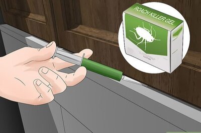How to Kill German Roaches