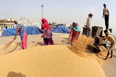 Government Doubles Import Duty on Wheat to 20 Percent