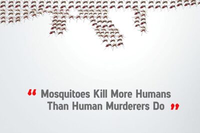 World Mosquito Day 2021: History, Significance and How to Prevent Malaria