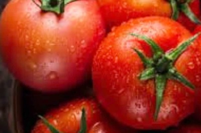 High Tomato Prices: Fresh Supplies from Maharashtra & MP to Soon Bring Down Rates, Says Consumer Affairs Secretary