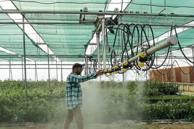 Good News for Farmers With Less Than 5 Acres of Land