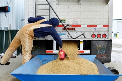 China Buys US Soybeans after Halt to US Purchases Ordered, Sources Say