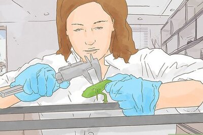 How to Find a Biotechnology Job