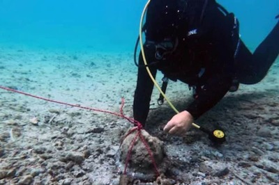 Italian Archaeologists Discover 600-year-old War Helmet In Ionian Sea