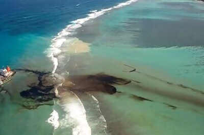 Thousands Protest In Mauritius Over Dead Dolphins, Demand Resignations