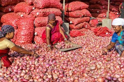 Government Selling Onions At Rs 25 Amid Price Surge; Find Out Where
