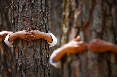 AAP Government Files Case Against Delhi Golf Club for Cutting 100 Trees