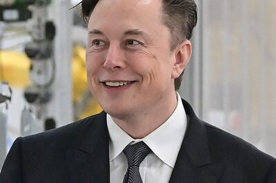 Elon Musk Sends Text To Twitter CEO; Says Lawyers Trying To 'Cause Trouble': Report