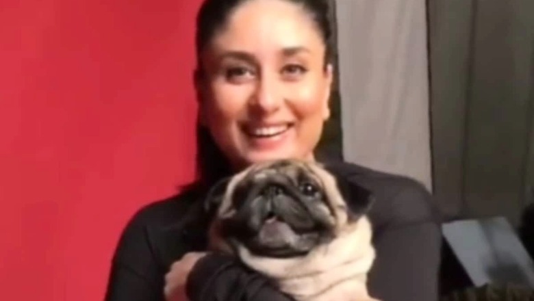 Kareena Kapoor Khan Shoots With Her Dog leo, See Pic