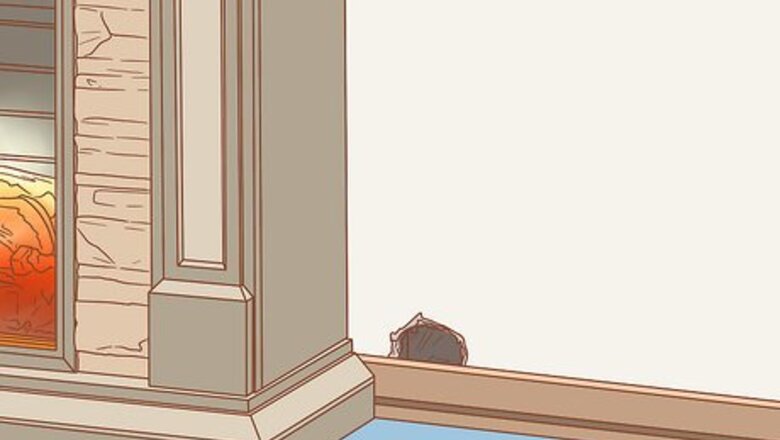 How to Prevent a Rat Infestation